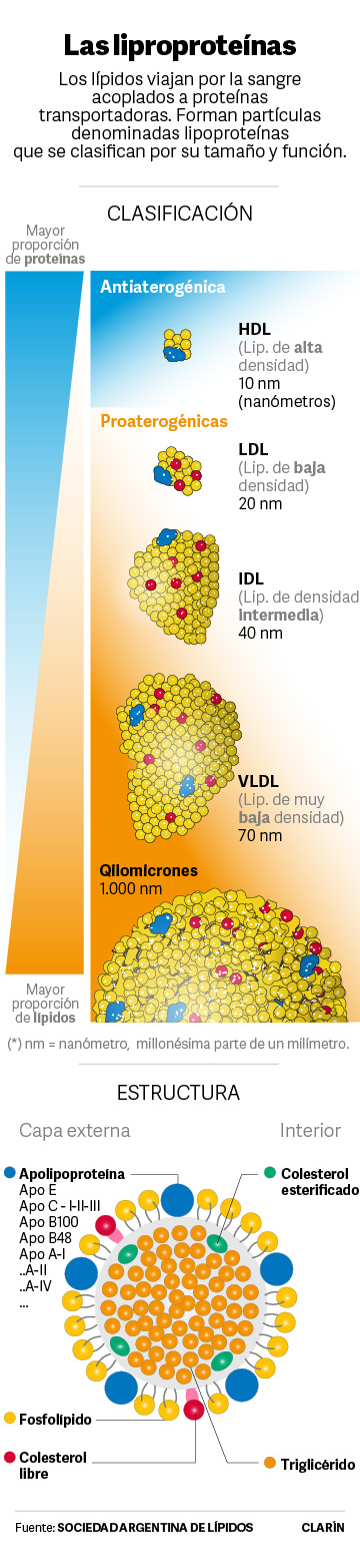  Liproteínas