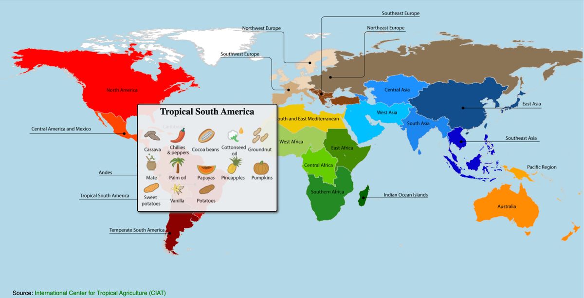 Muchos lugares no tallarían calabazas si no fuera por las calabazas de América del Sur.