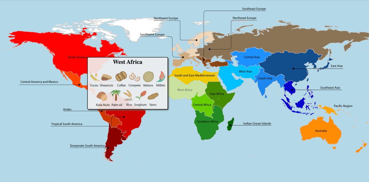 El café se cultivó por primera vez en África.