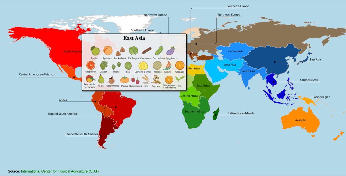 Las mandarinas, mandarinas y muchos otros cultivos son originarios del este de Asia.