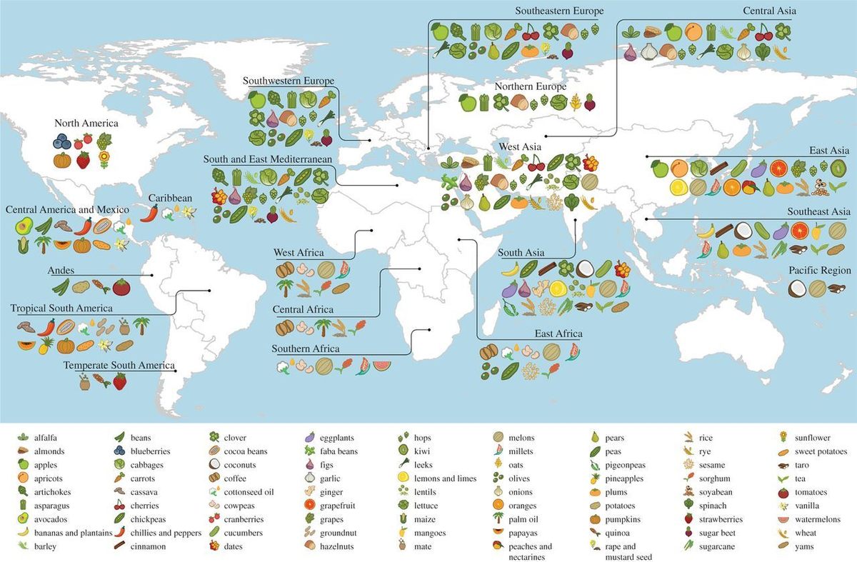 Una visión general de los centros de origen de algunos de los cultivos alimentarios más globalizados del mundo.