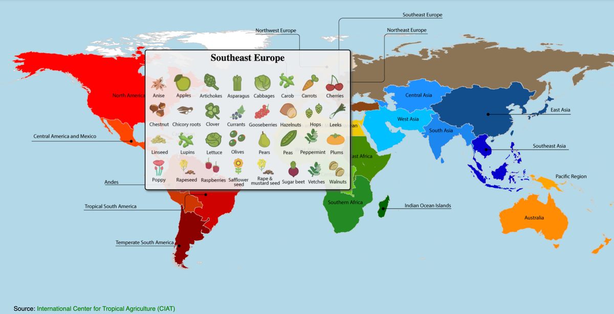 Las cerezas proceden del sudeste de Europa.