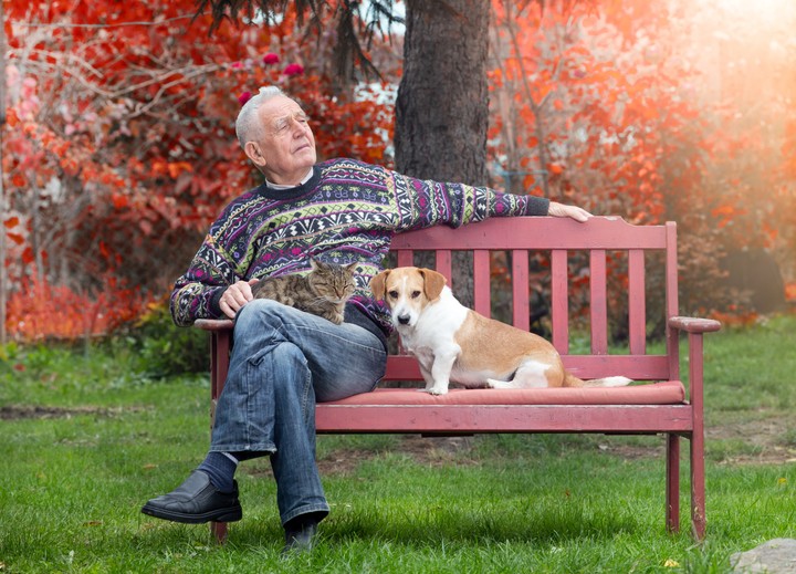 Un perro garantiza ciertos niveles de socialización, necesarios para evitar el aislamiento. Foto Shutterstock.