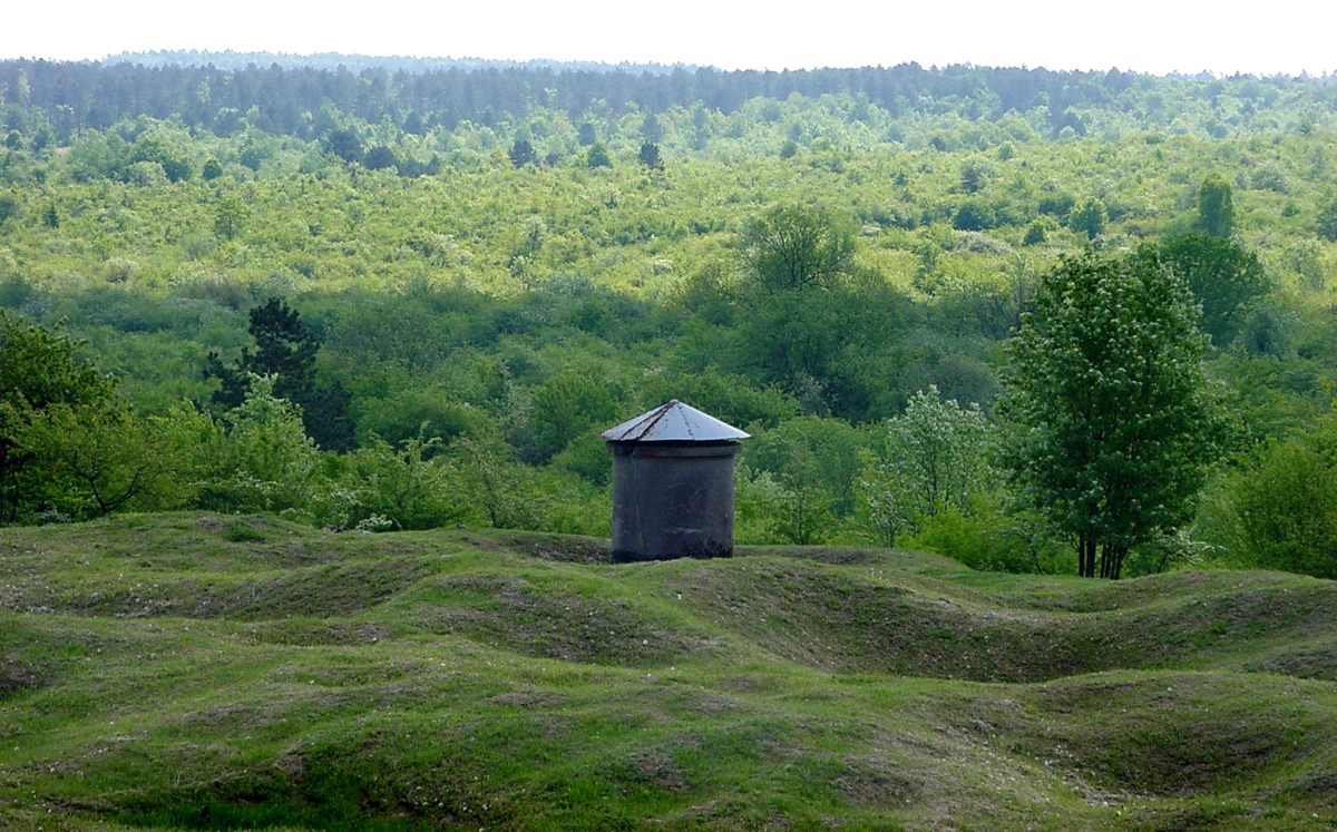 El bosque de Verdún es un área que fue restaurada después de la Primera Guerra Mundial.