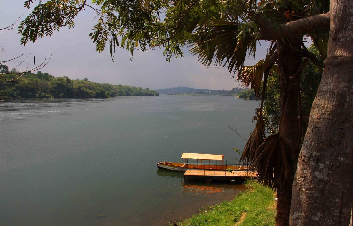 Se dice que los dingoneks viven en los afluentes del lago Victoria, como el Nilo Victoria, un río cerca de Jinga, Uganda, que se muestra aquí.