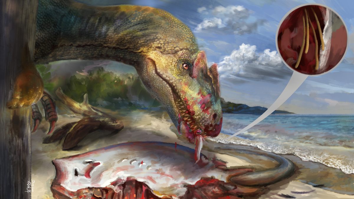 Una reconstrucción ecológica hipotética de la tenia fósil tripanorrinca después de que un dinosaurio posiblemente devorara al huésped muerto (dibujada por YANG Dinghua).