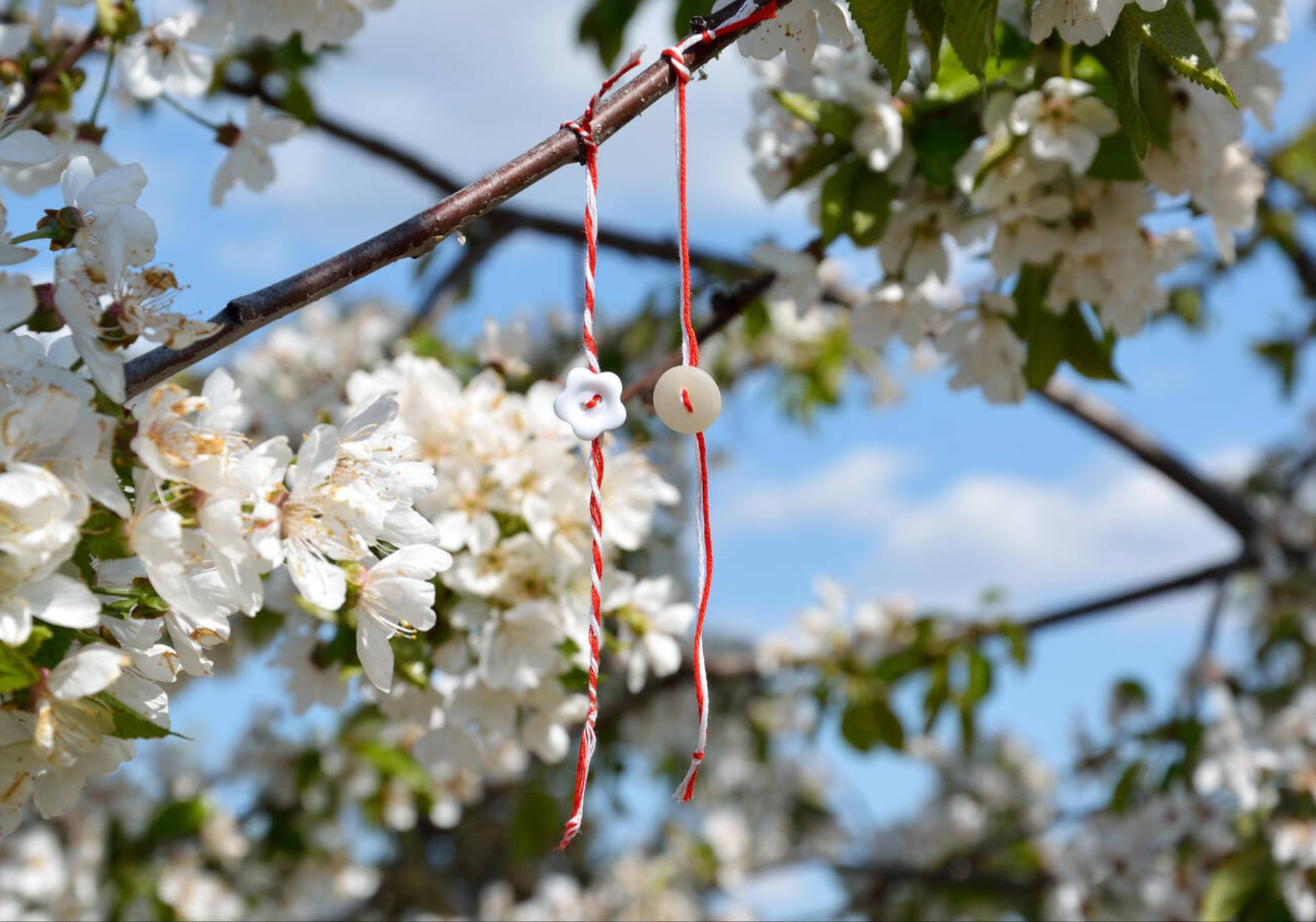 También se cuelgan hilos rojos y blancos de los árboles para celebrar la primavera en otros países europeos, como Bulgaria y Rumanía.