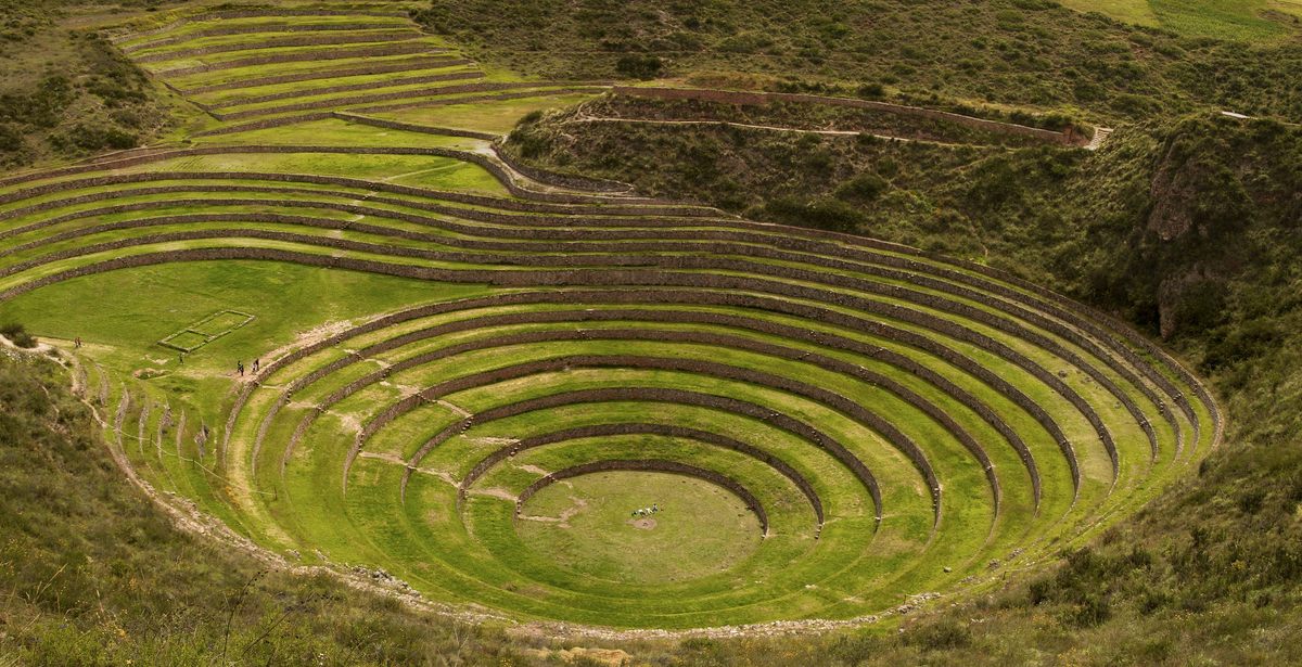 Estos círculos concéntricos pueden haber sido un experimento agrícola.