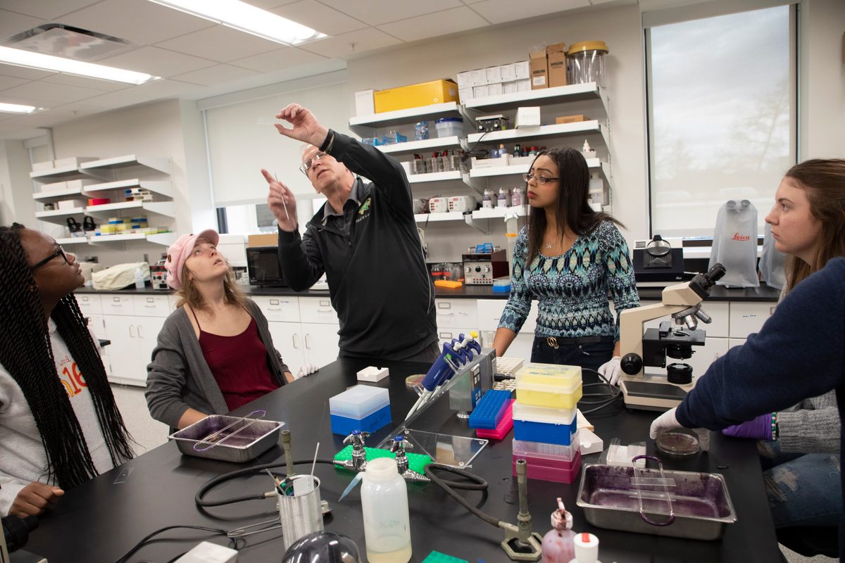 En las clases de Westenberg, las obras de arte se eliminan con vapor para matar las bacterias.