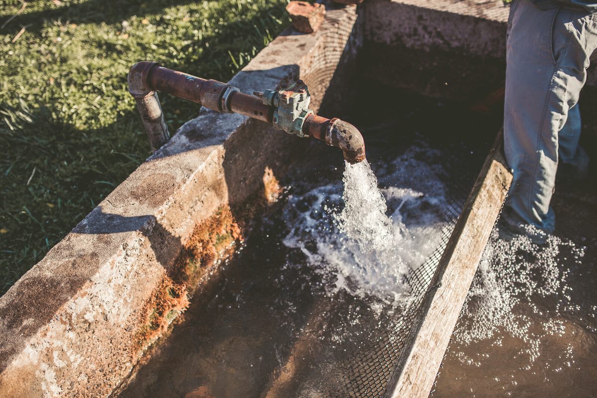 El hábitat de la trucha se alimenta del agua de un manantial artesiano que fluye desde el lecho de roca caliza a un ritmo de 2000 galones por minuto.