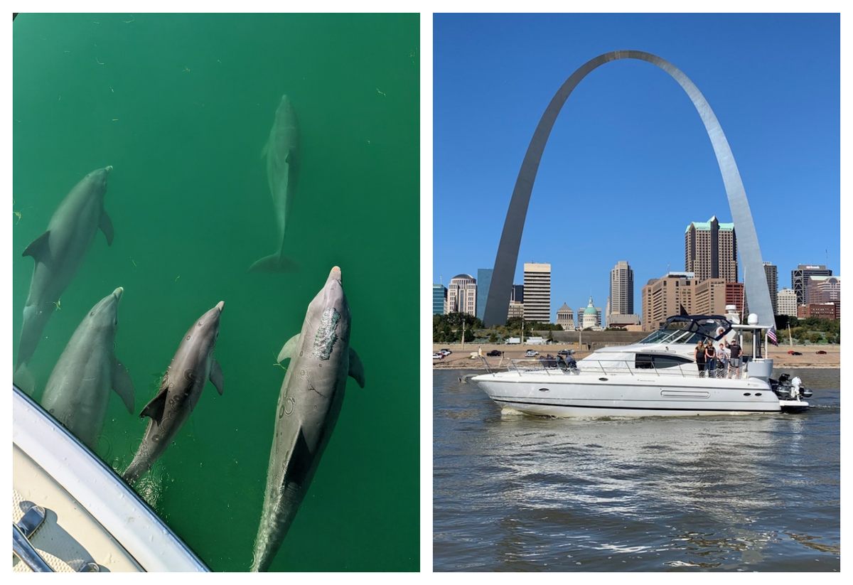 Una manada de delfines escoltó a Tim y Diane Vandersall cerca de los Cayos de Florida (izquierda); la familia Voce en cubierta mientras pasan por el Gateway Arch en St. Louis (derecha).