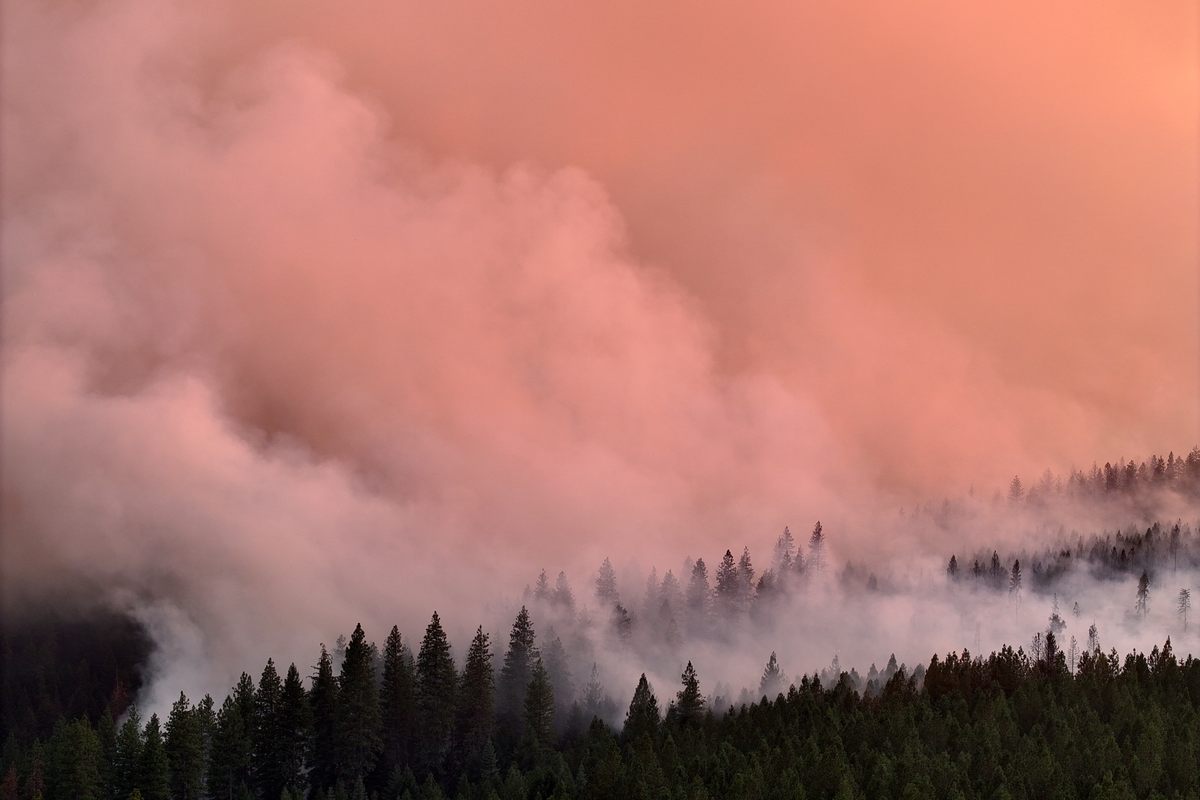 El humo espeso del incendio Park cubre los bosques al norte de Chico, California, en una imagen del 30 de julio.