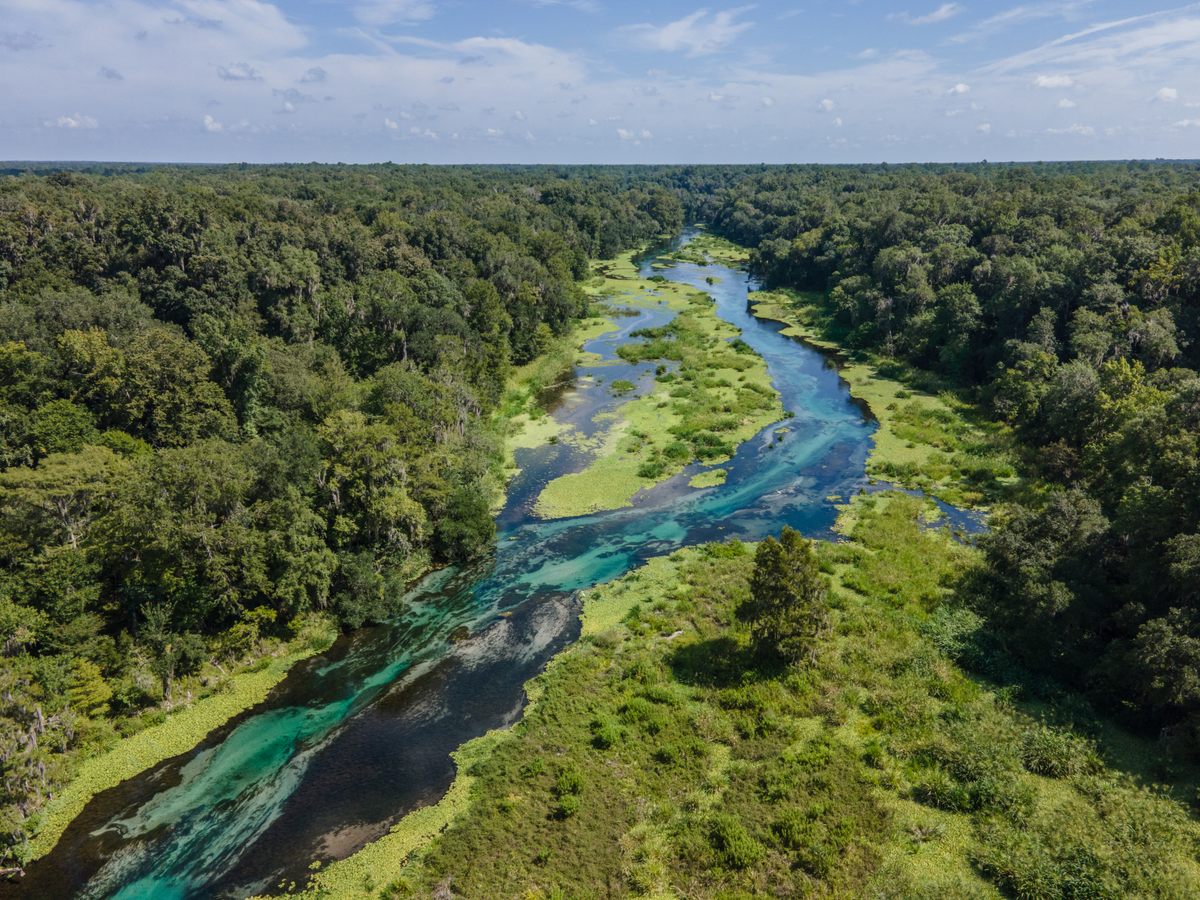 El prístino Ichetucknee Springs, un curso de agua que fluye suavemente, está alimentado por nueve manantiales submarinos y es ideal para explorar en kayak o en tabla de remo.