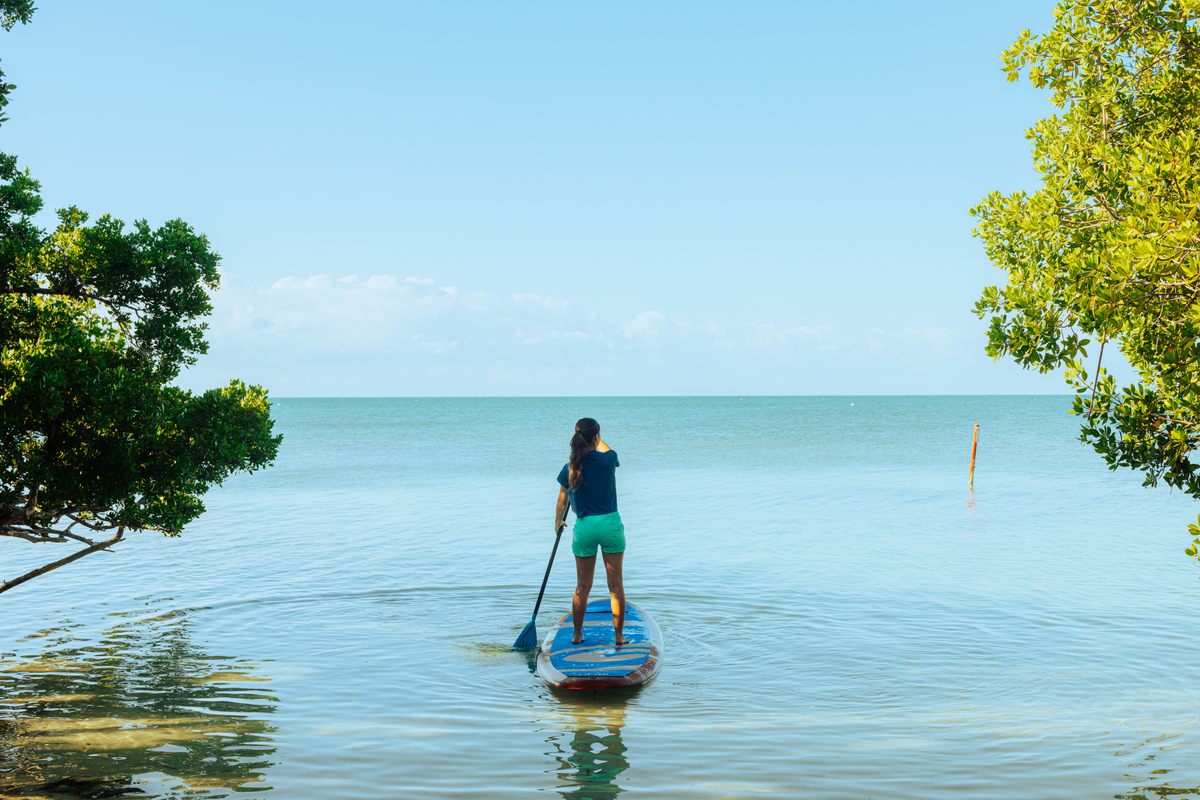 Reme la media milla de la costa desde Islamorada en los Cayos de Florida para llegar a la isla de 11 acres, el Parque Estatal Histórico Indian Key.