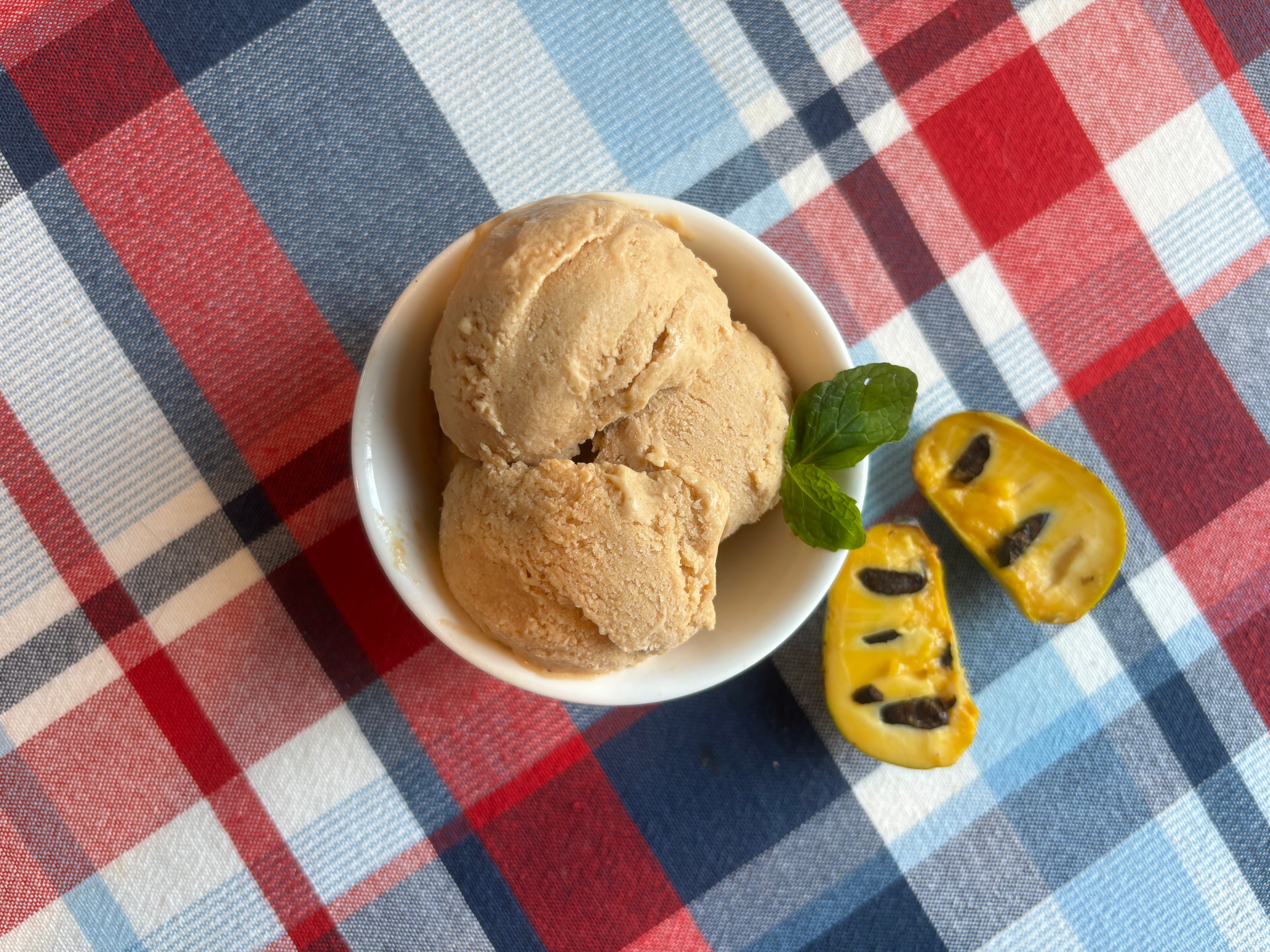 Si lo volviera a hacer, definitivamente batiría el helado un poco más, pero en general, era cremoso, tropical y dulce.