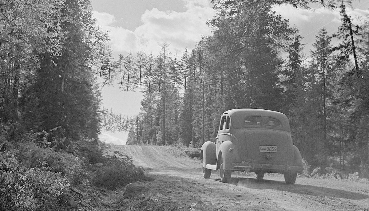 Estos árboles flotantes se colgaron para camuflar la infraestructura finlandesa cerca de la frontera soviética en 1941. 