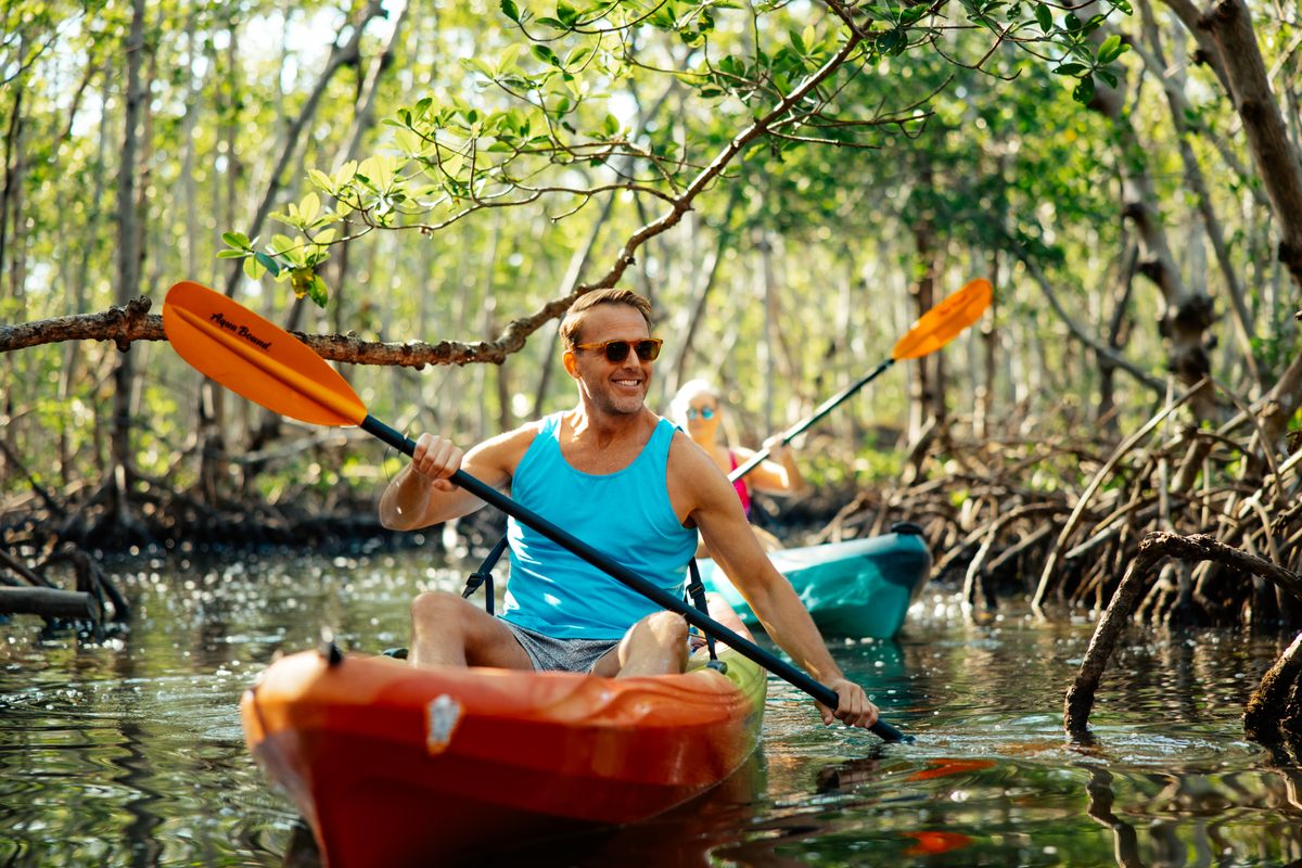 Los túneles de manglares de Lido Key en el Parque Natural Ted Sperling de Sarasota se exploran mejor en kayak.  