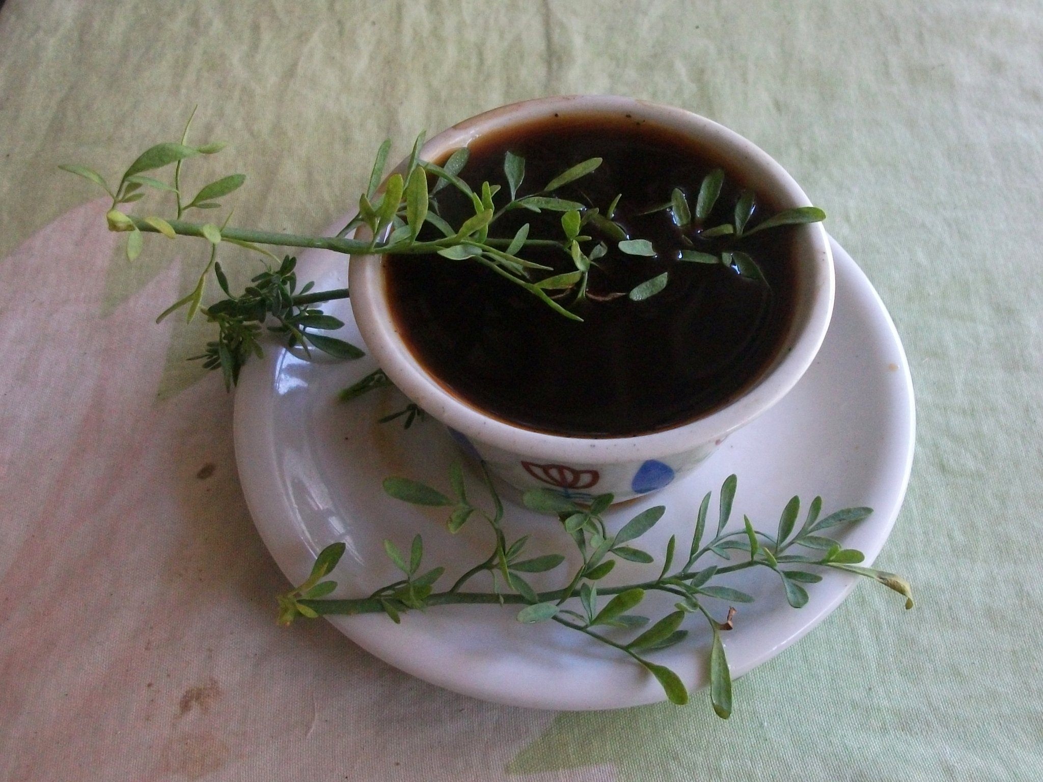 En Etiopía, la ruda fresca se puede mojar en café o té para darle sabor a la bebida.