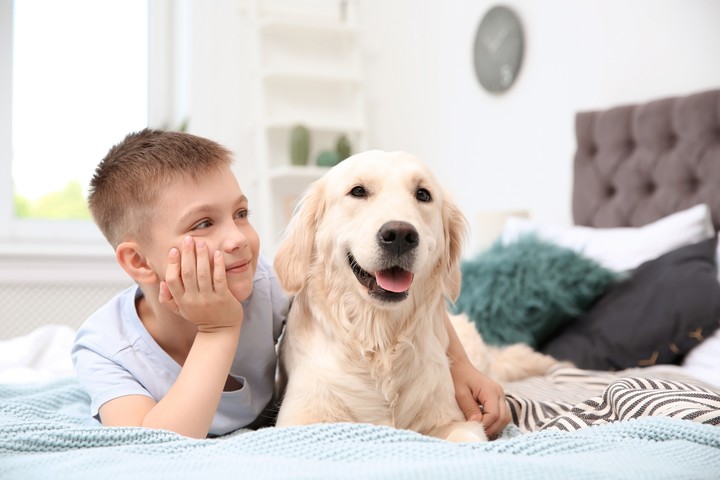 La perra Ellie abrió los corazones y las mentes del 
personal de la fiscalía.
Foto ilustración: Shutterstock