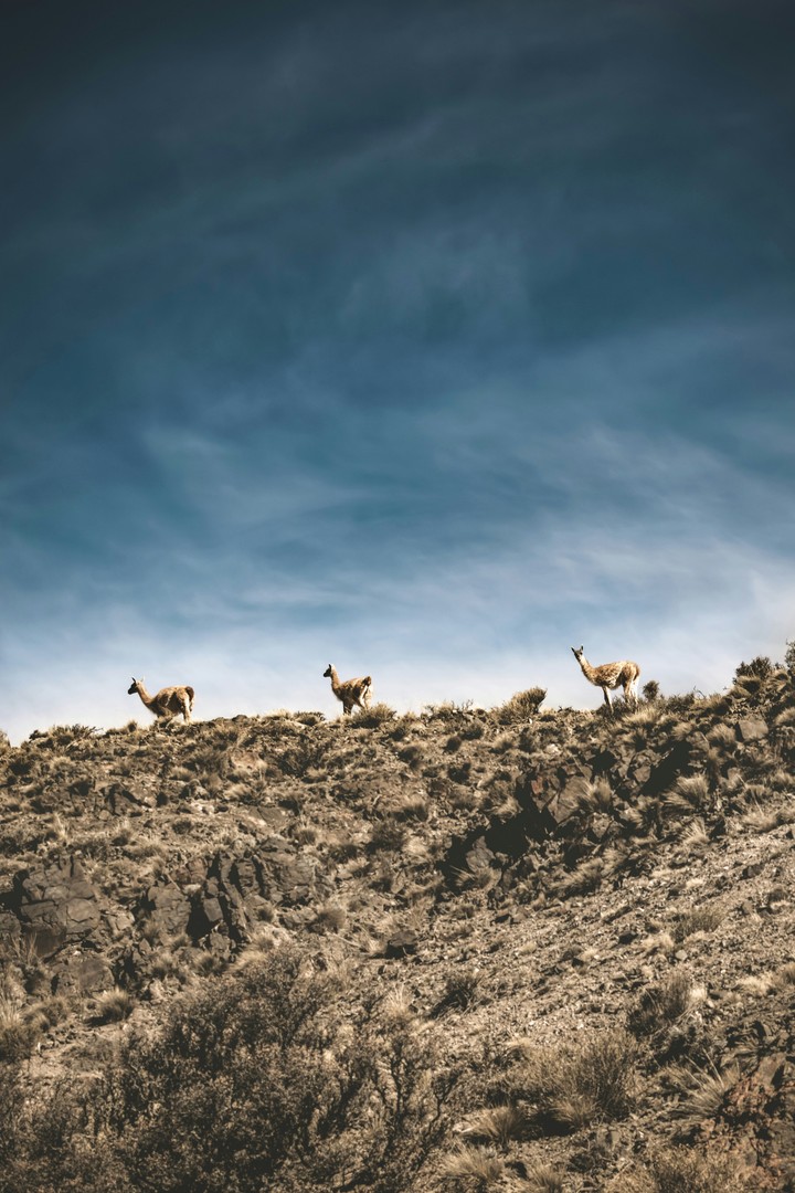 Cada rincón de la reserva Villavicencio cuenta una historia entre montañas y paisajes imponentes. Foto: Unsplash.