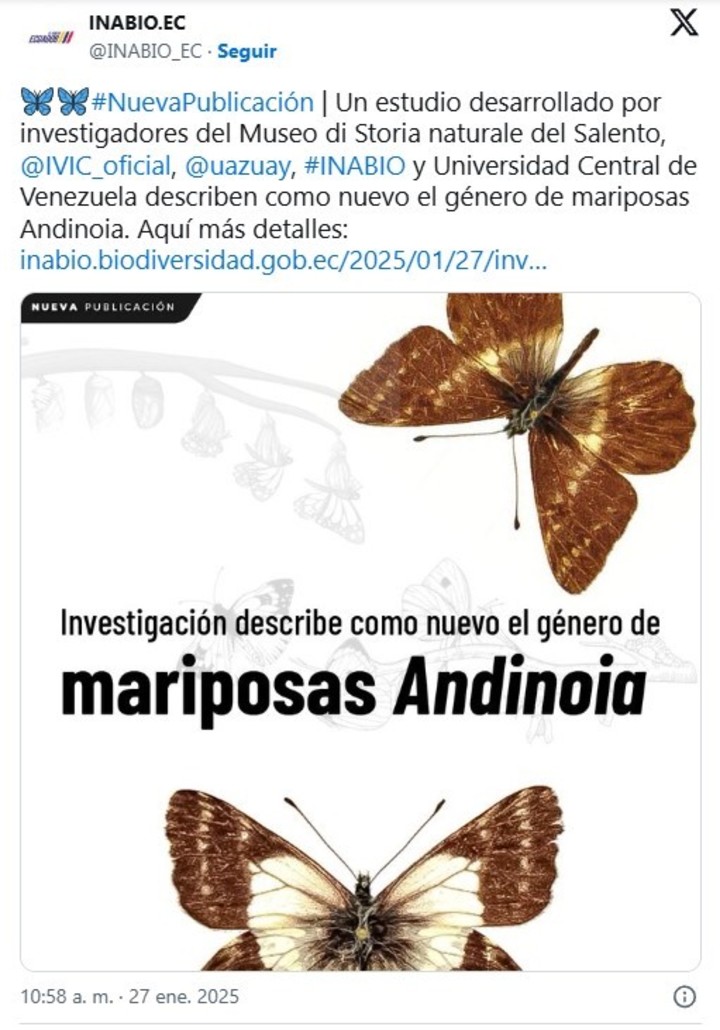 La nueva especie de mariposa (Twitter).