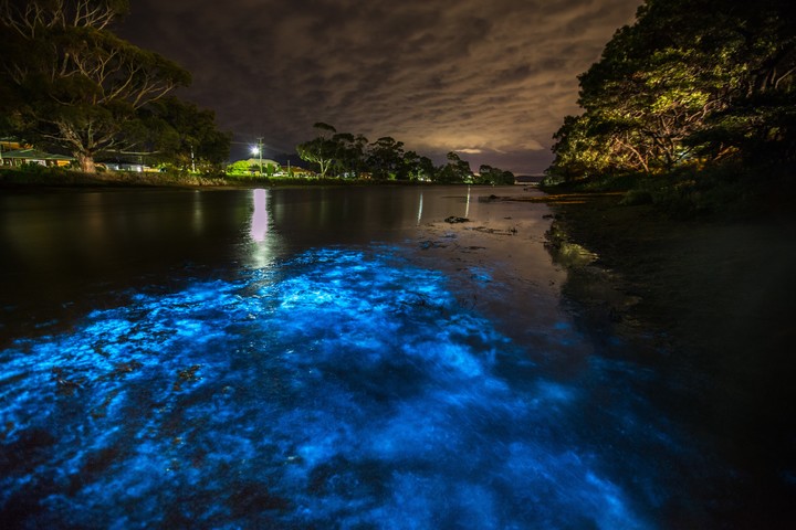 Argentina es uno de los países donde se registraron olas fluorescentes en la costa atlántica. Foto: Shutterstock.