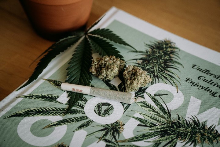 El cannabis afecta la función ejecutiva, pero no todas las áreas del cerebro responden de la misma manera. Foto: Unsplash.