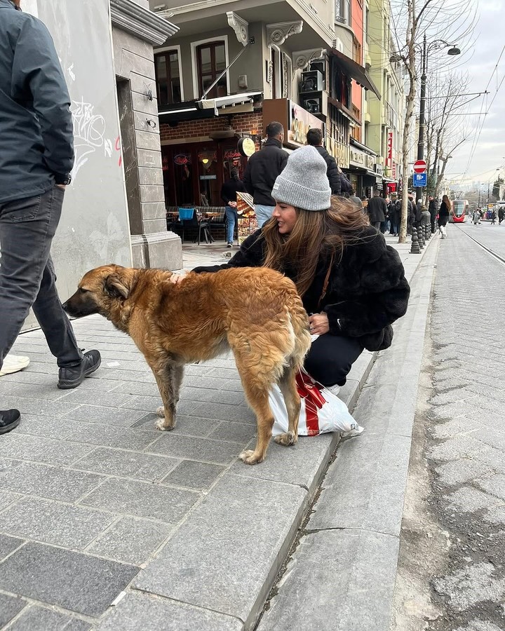 La China Suárez junto a un perrito callejero. Foto: Instagram