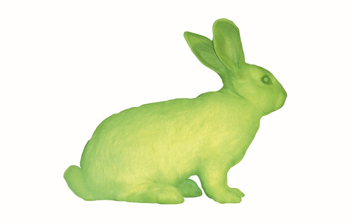 Eduardo Kac, GFP Bunny, 2000. Foto: cortesía Henrique Faria Fine Art, New York /MoMA.