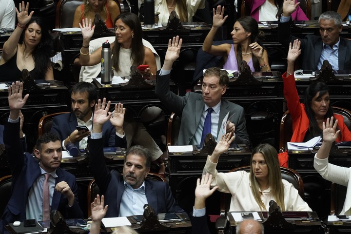 Ficha limpia propone modificar el artículo 33 de la actual Ley 23.298 de Partidos Políticos. Foto: Maxi Failla