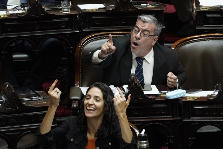 Germán Martínez y Paula Penacca en uno de los tantos momentos de tensión en la Cámara de Diputados. Foto: Maxi Failla.