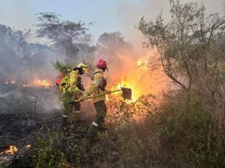 Incendios en Corrientes 2025