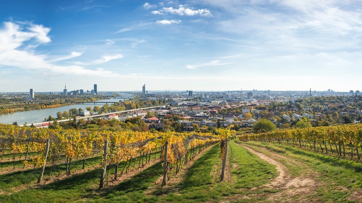 Una vista muy particular de Viena. Los viñedos, las orillas del Danubio, y las edificaciones lejanas llenas de cultura y belleza./ Foto: Shutterstock.