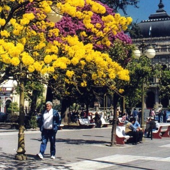 Cuántos habitantes tiene San Miguel de Tucumán