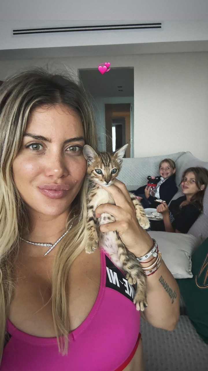 Wanda Nara con el gato que le regaló a Francesca para su cumple. Foto: Instagram