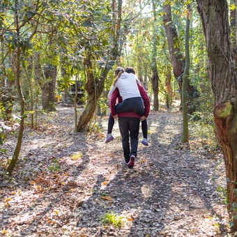 Naturaleza sin playa ni sierras: 5 bosques encantadores cerca de CABA que parecen sacados de un cuento