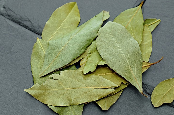 Las hojas de laurel cerca de ventanas y puertas funcionan como una barrera contra energías no deseadas. Foto: Pexels.