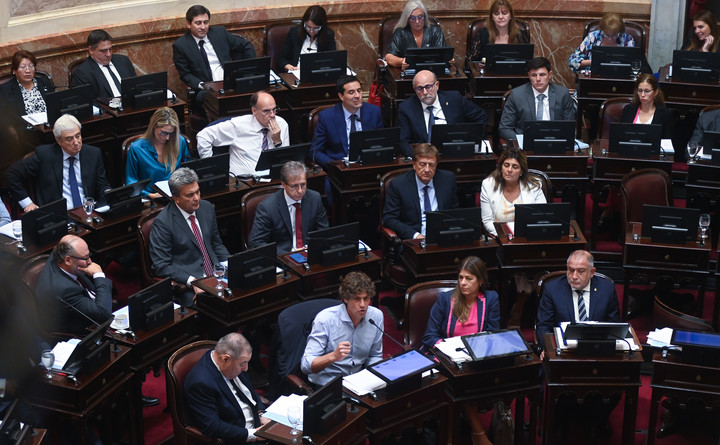 Voto dividido entre los radicales al proyecto de la UCR para investigar el escándalo cripto. Foto: Federico López Claro