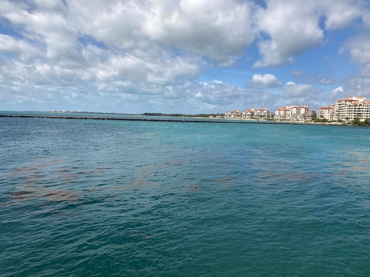 Se suman conexiones desde Brasil para viajar a destinos como Miami. Foto: EFE/Ivonne Malaver