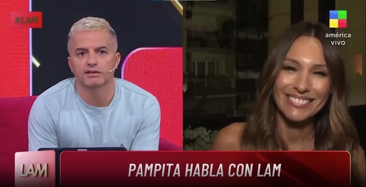 Pampita habló con Ángel de Brito sobre las posibildades de volver a ser jurados del "Bailando por un sueño". Captura TV