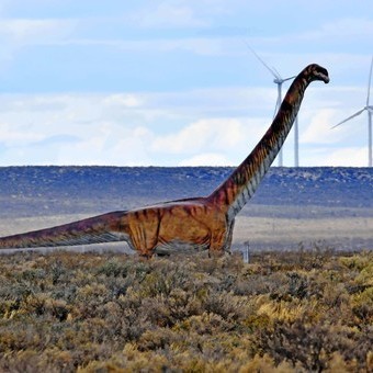 Patagotitán: así fue hallado el gigante prehistórico de Argentina que asombró a la comunidad científica