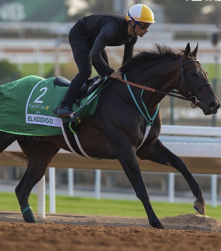 El Kódigo, el caballo argentino que representó al país en la Saudi Cup.