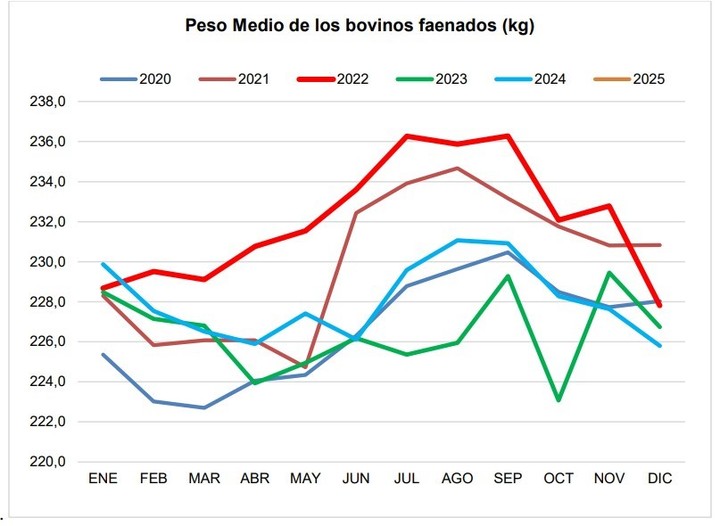 La producción de carne bovina del mes de enero alcanzó las 263,9 mil toneladas res con hueso, con 18,9 mil toneladas menos con respecto al mes anterior, y 3,9 mil toneladas menos con respecto al mes de enero del año 2024. 