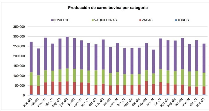 La prodiucción de carne por categoría fue de unas 263,9 mil toneladas equivalente res con hueso, que implica una caída de un (-6,0%) con respecto al mes de diciembre del año pasado.