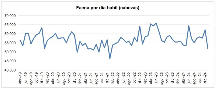 La faena diaria en cantidad de  cabezas mas allá de las fluctuaciones de rigor, se mantuvo en el rango conocido, sin grandes diferencias,