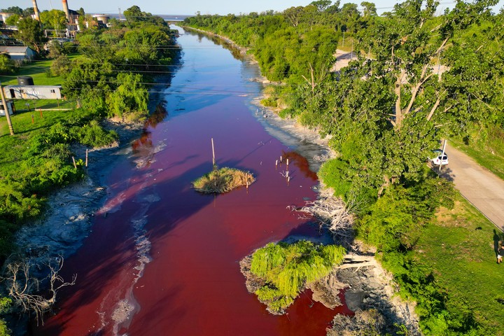 Las inspecciones apuntan a industrias cercanas, aunque aún no se identificaron responsables del derrame en el arroyo Sarandí. Foto: EFE/ Stringer.