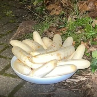 El misterio del plato con bananas peladas: lo dejan en una esquina todos los meses