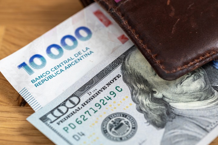 El objetivo: pagar por cada dólar la menor cantidad de pesos posible. Foto: Shutterstock.