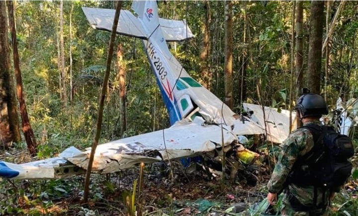 Tres ocupantes adultos murieron en la caída de un avión, entre ellos el piloto y la madre de los niños (Instagram).