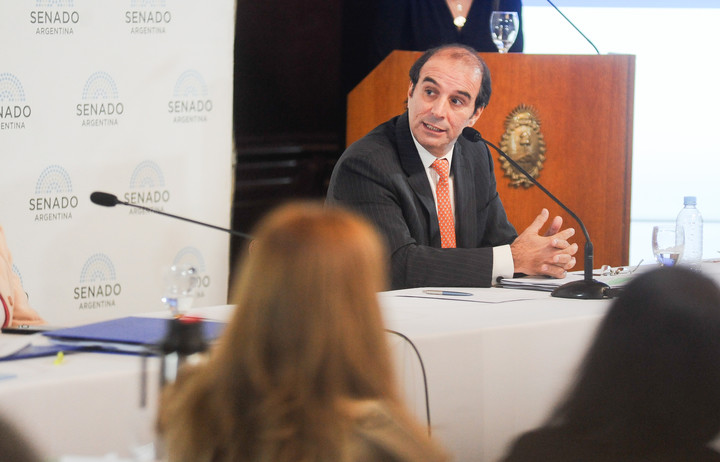 Manuel Garcia Mansilla durante la comisión de Asuntos Constitucionales del Senado, en agosto pasado. Foto Federico López Claro 